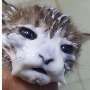 K3n3n