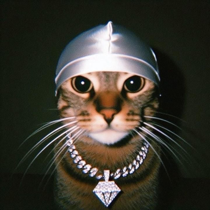 Darkuss1
