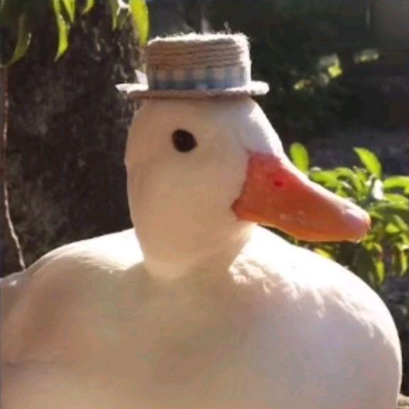 Mosbittr avatar