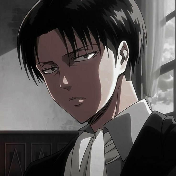 don1eeel avatar