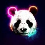 panda_n1c3 avatar