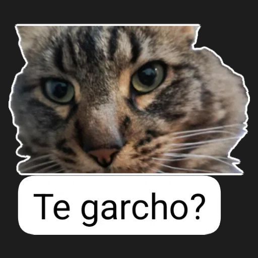 BUTAKERO FACEIT avatar