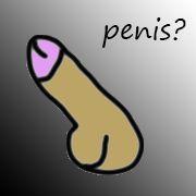 -xenas avatar