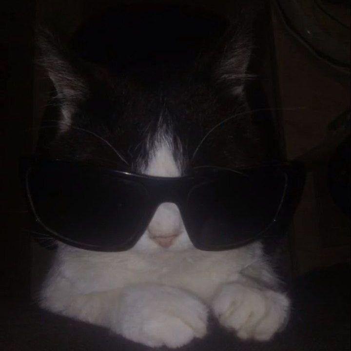 tetsu_ki avatar