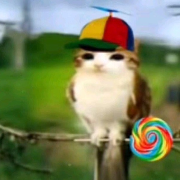 bKazu