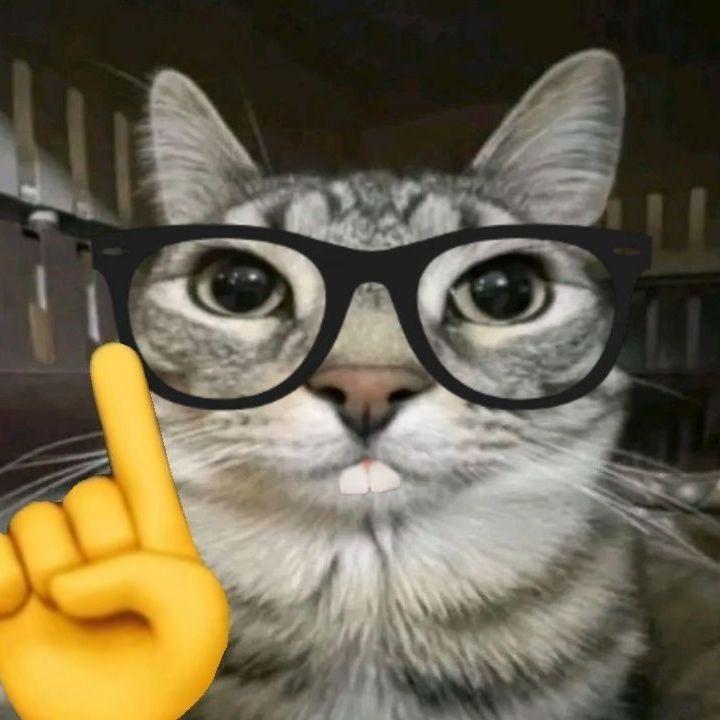 -SupiJr avatar