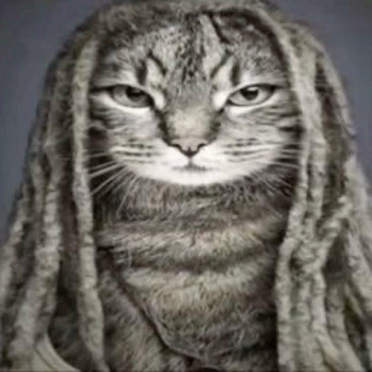 Nezypoo avatar