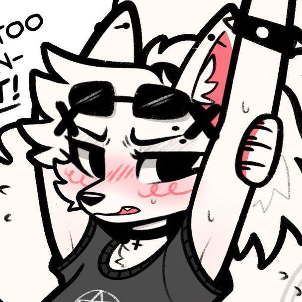 DangerCat avatar