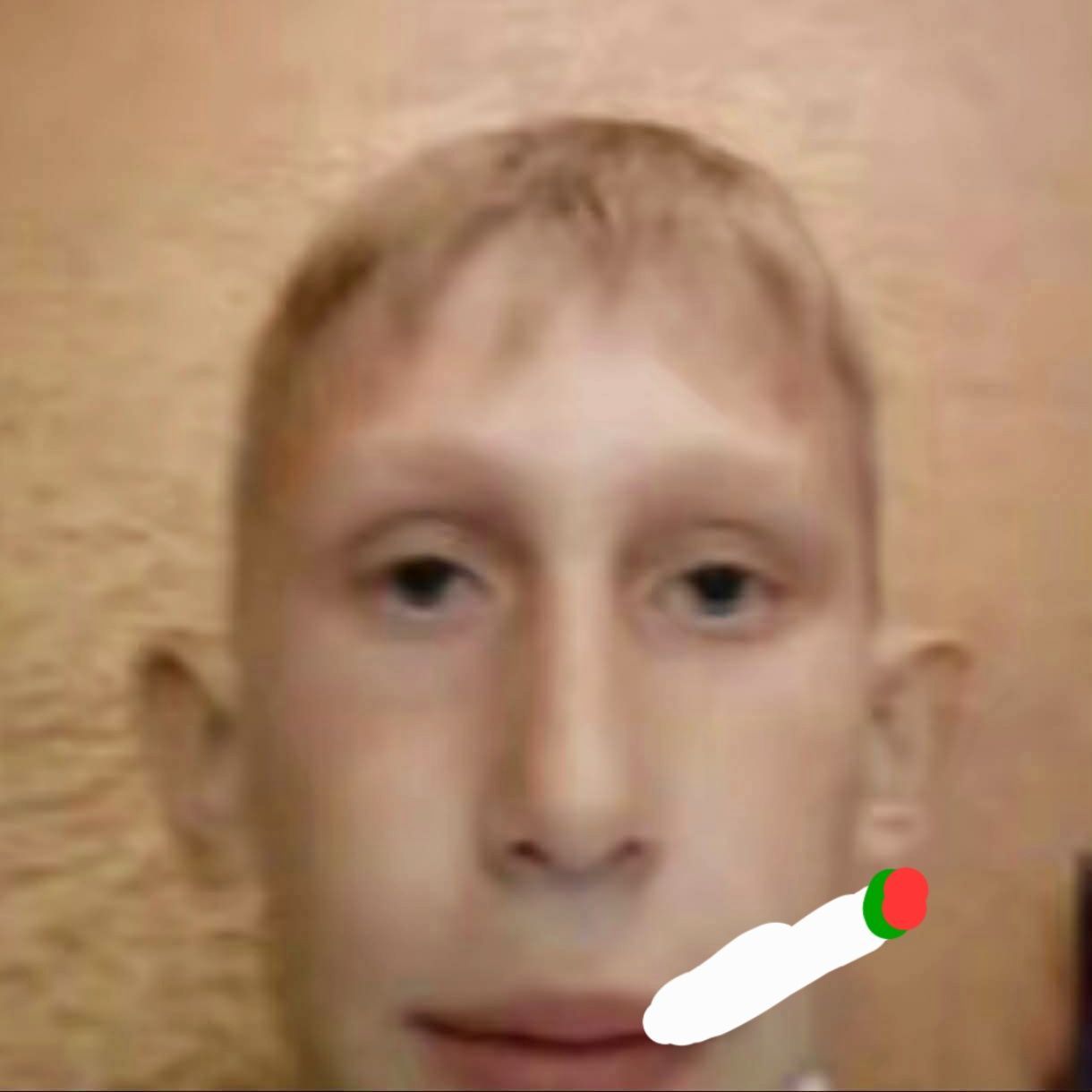 team_z00ter_z