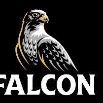 FALCONE800 avatar