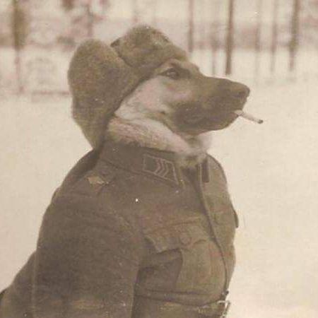 W00FWOOF avatar