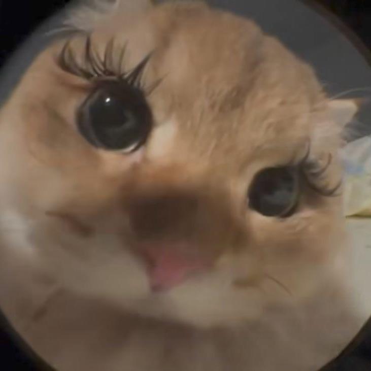 baasiko avatar