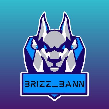 Brizz_baNn