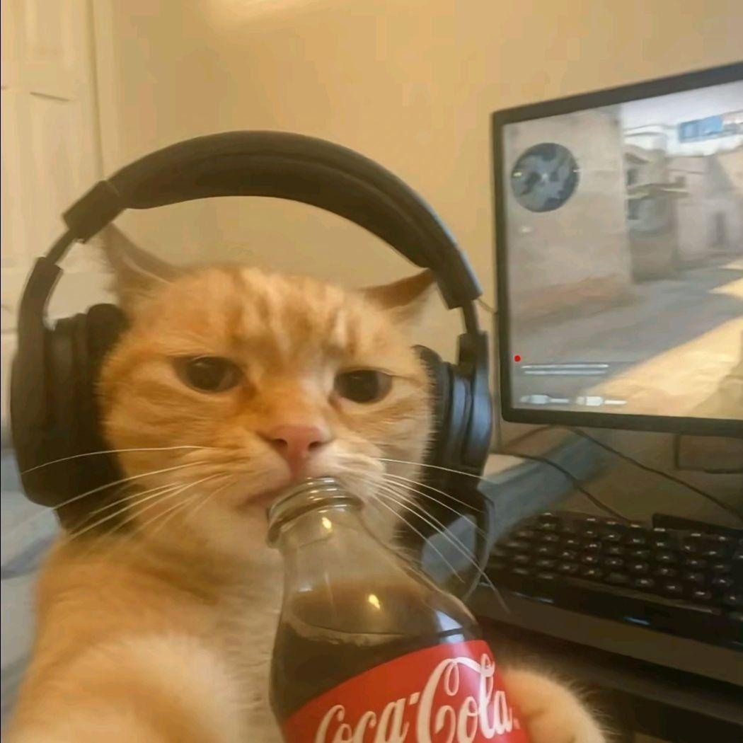 Lemwq