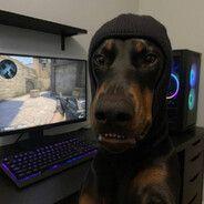 -m0zgusha avatar