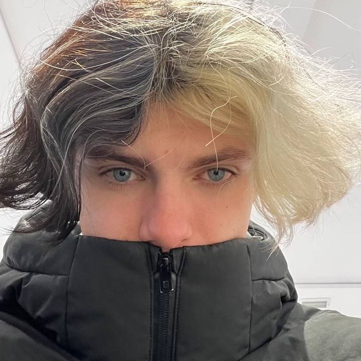 THEF0LZY