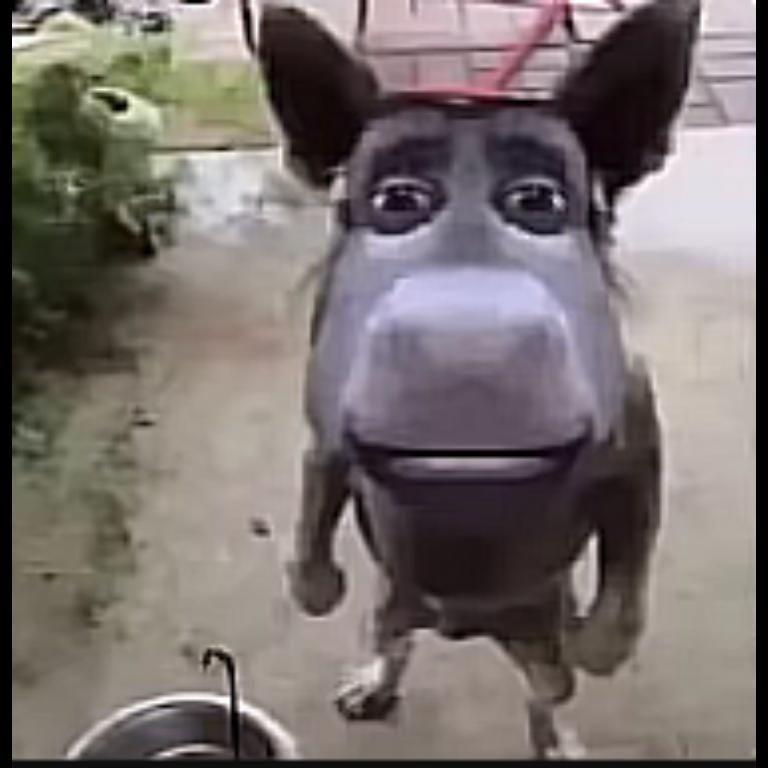 Imangalii avatar
