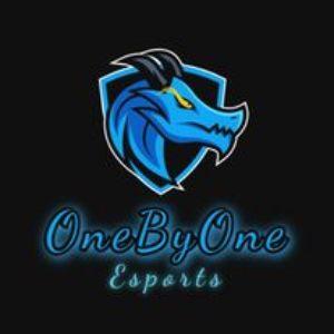OnebyOne Esport