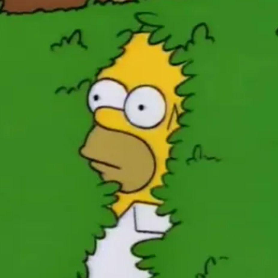 Aftershane avatar