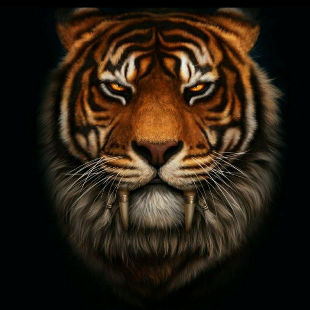 0zzTIGERzz0