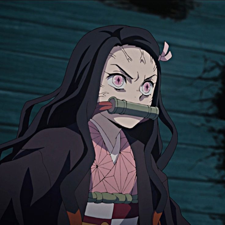 Chinamisa