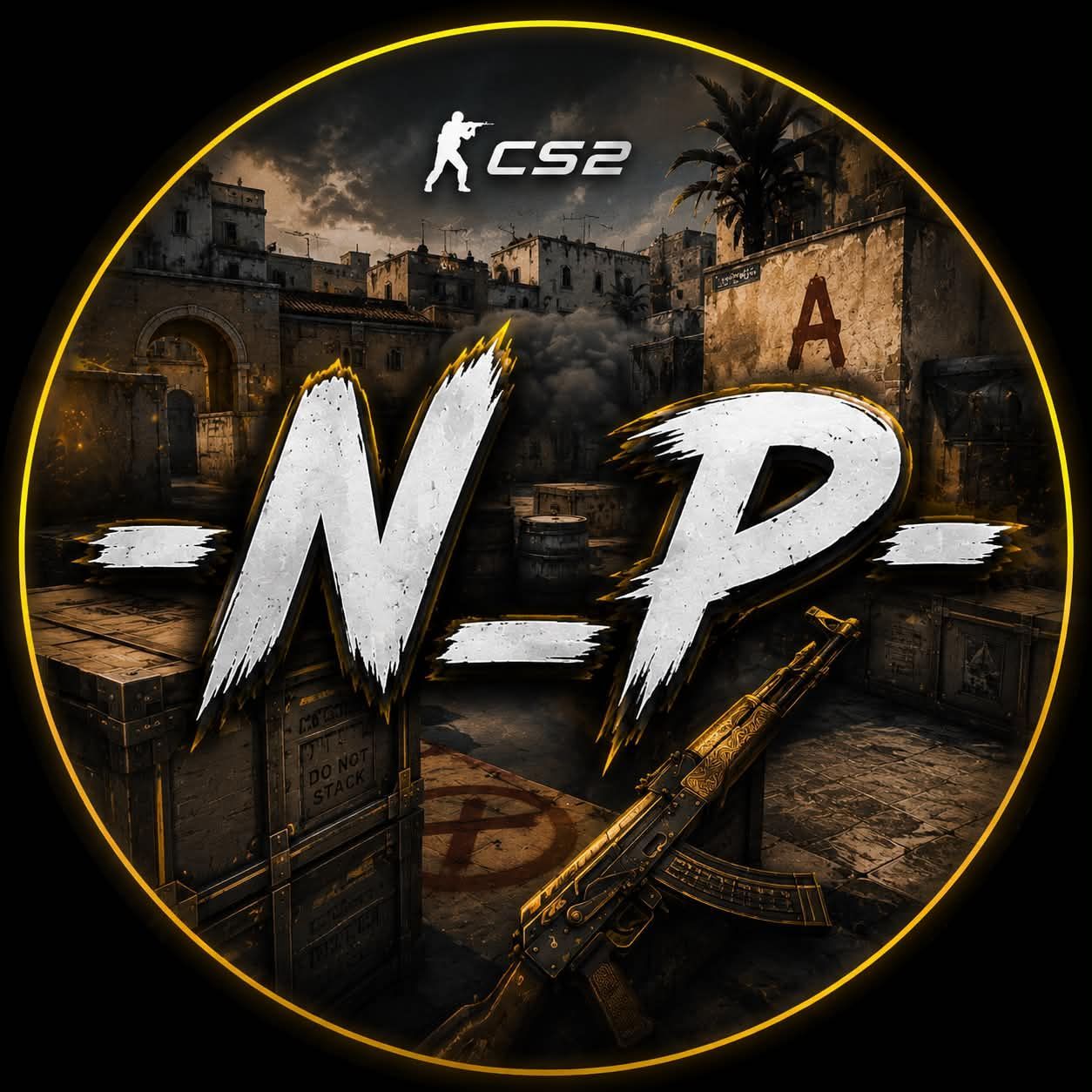 -N_P- FACEIT avatar