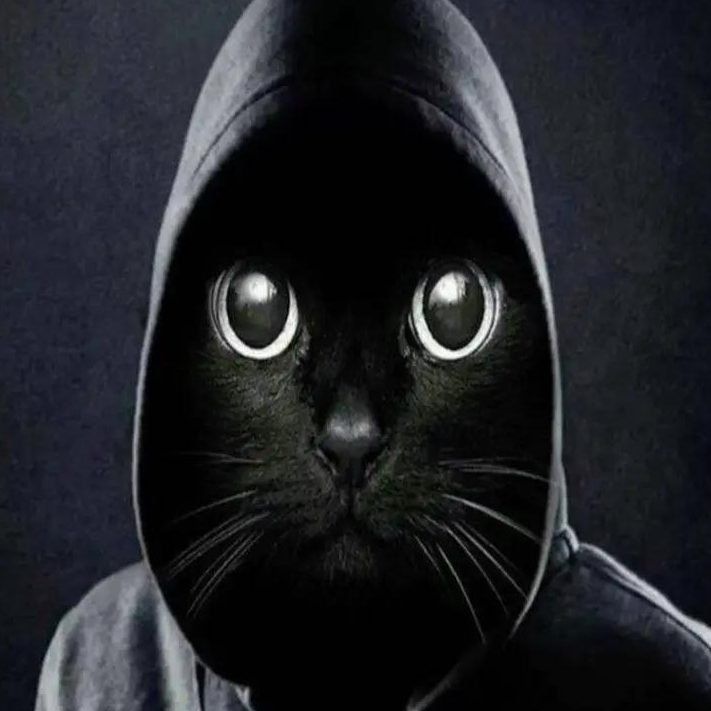 Madsy avatar