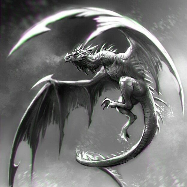 dreki FACEIT avatar
