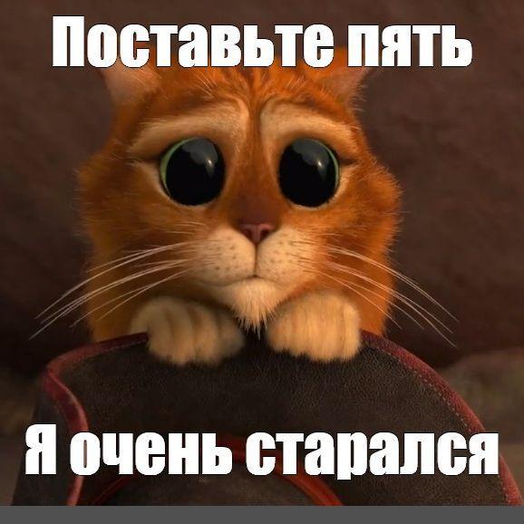 Durachy0_