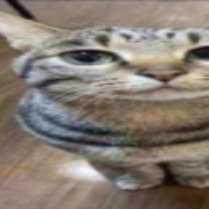 MeowMaster2