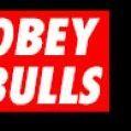 Obeybulls avatar