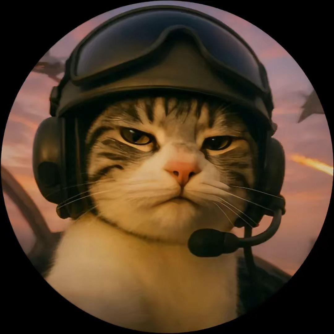 StaniSPiCE avatar
