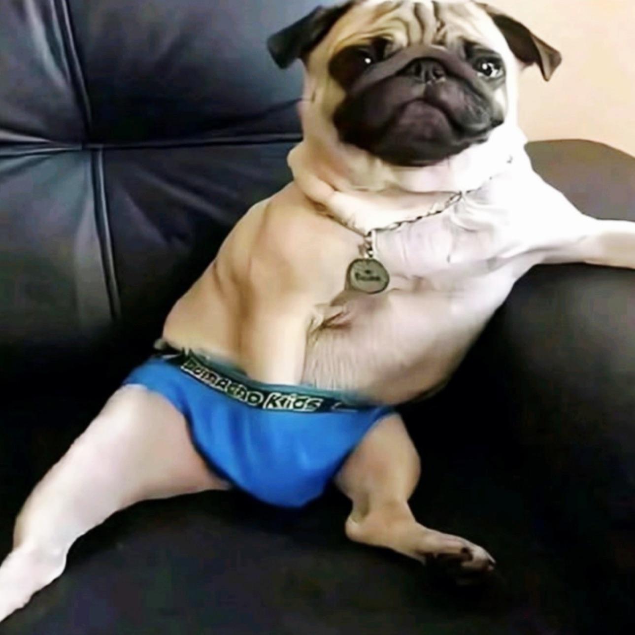 Auxilarys avatar