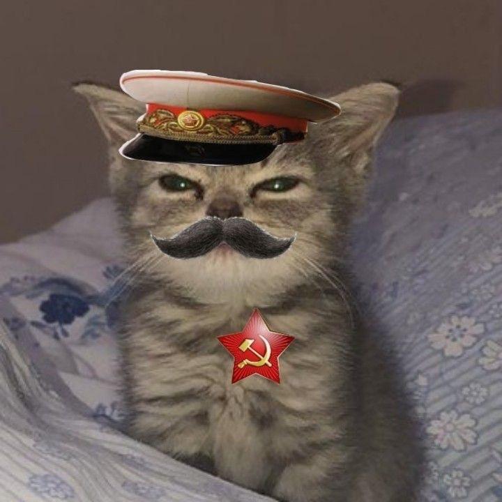 molekula_ avatar