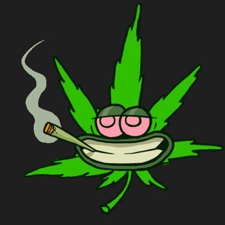 420_247 avatar