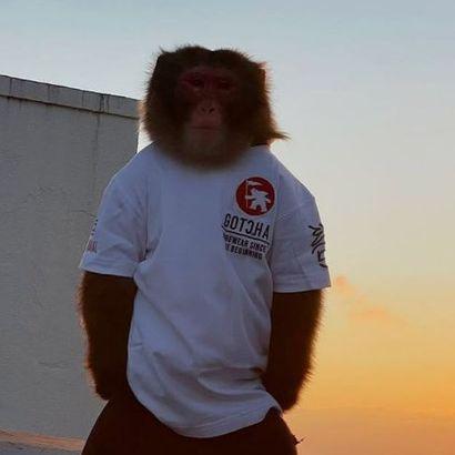 livesbraker avatar