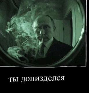GNIDA_KALICH