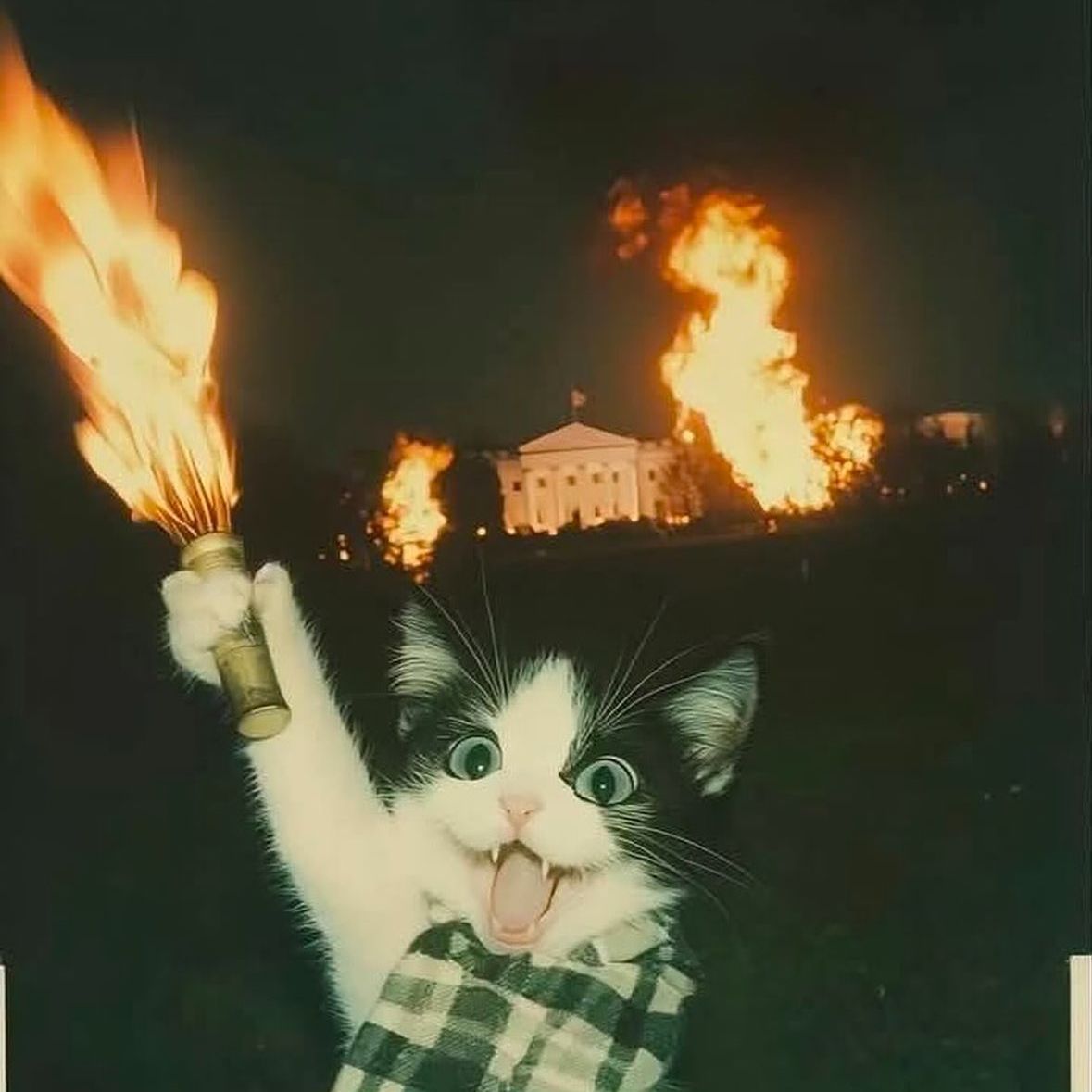 Cattiche