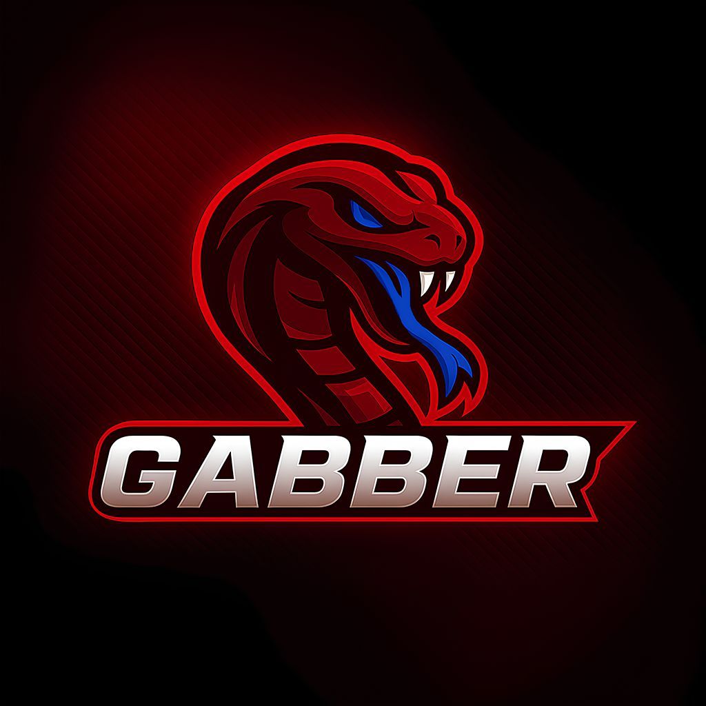 team_Gabber_BIZZ