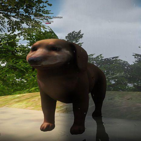 pykekake avatar