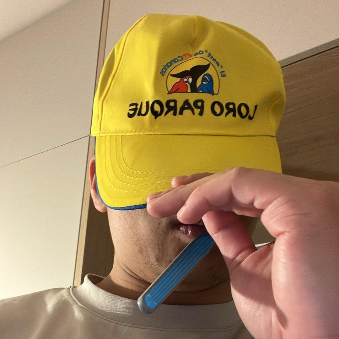 Shamino avatar