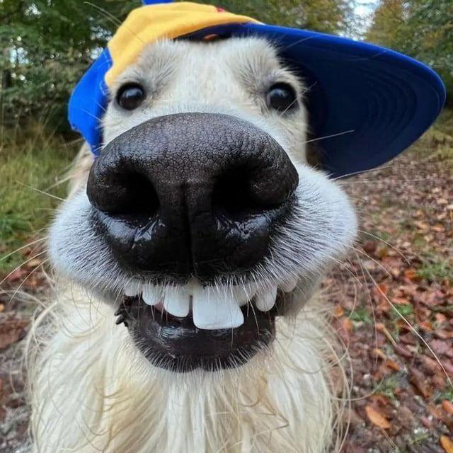 Leonchik42 avatar