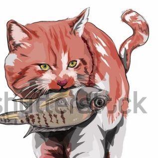 Mr_Catfish avatar