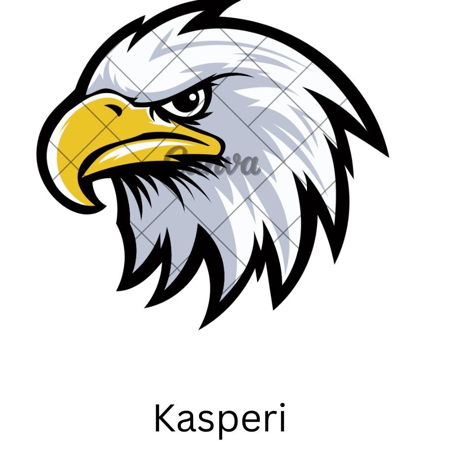 Kaasperi avatar