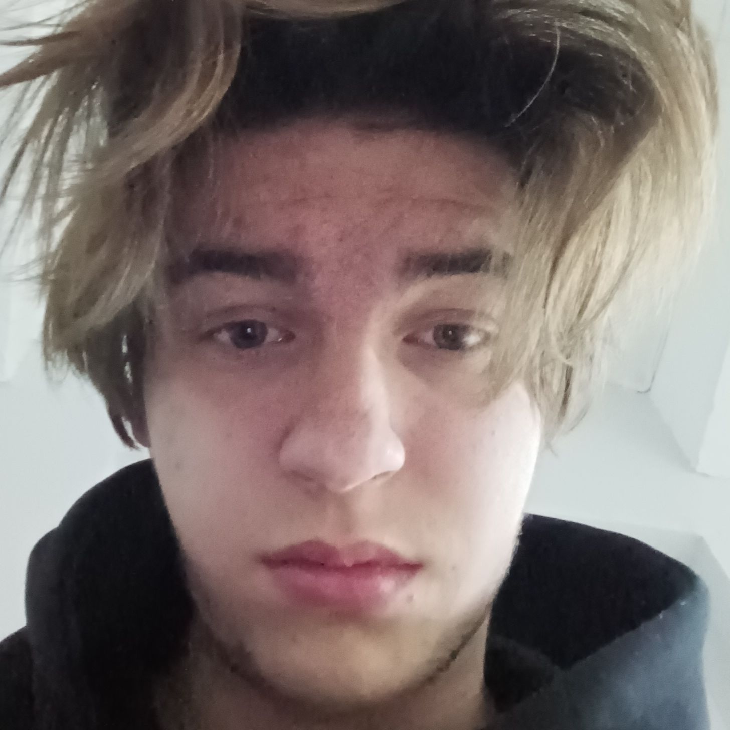 _Muret_ avatar