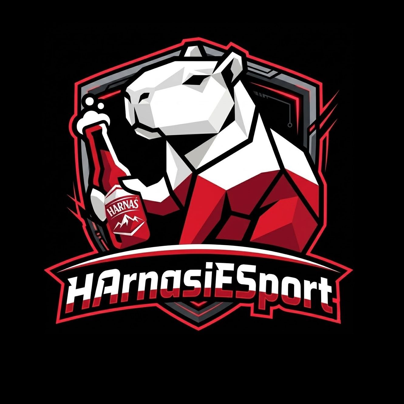 HArnasiESport