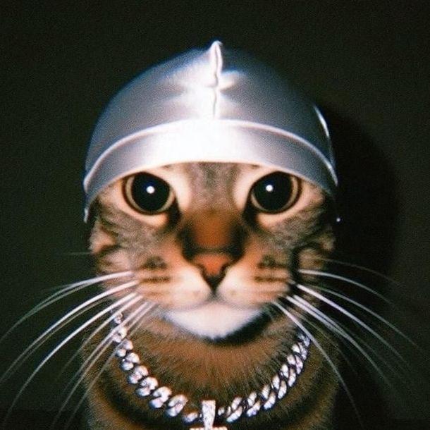 xim1cat