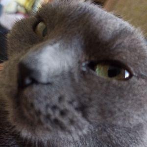Dick375 avatar