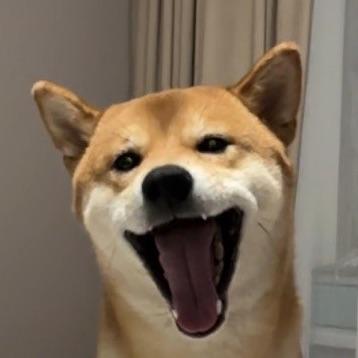 Sh1ba_inu
