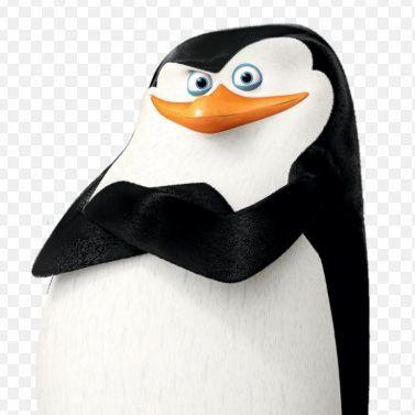 w1ldzovskiy avatar